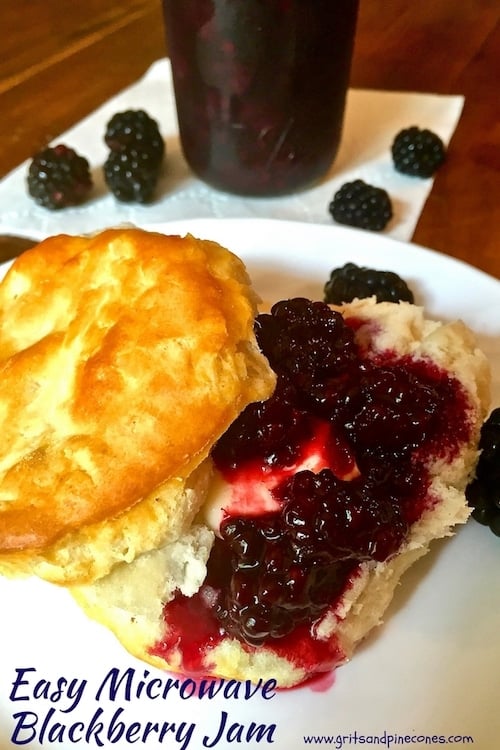 Easy Microwave Blackberry Jam only takes 3 ingredients and 10 minutes, to make the most delicious, incredibly fast and easy Blackberry Jam you have ever tasted.