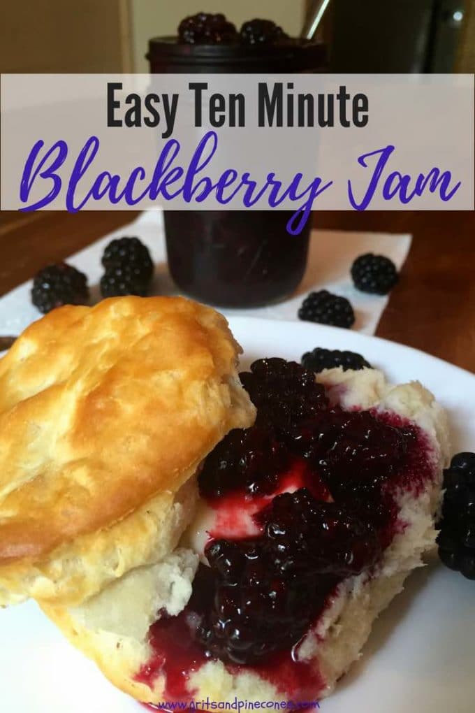 Ten Minute Microwave Blackberry Jam only takes 3 ingredients and 10 minutes, to make the most delicious, incredibly fast and easy Blackberry Jam you have ever tasted. This easy homemade, small batch recipe doesn't use pectin and can be stored in your fridge for up to a week.
