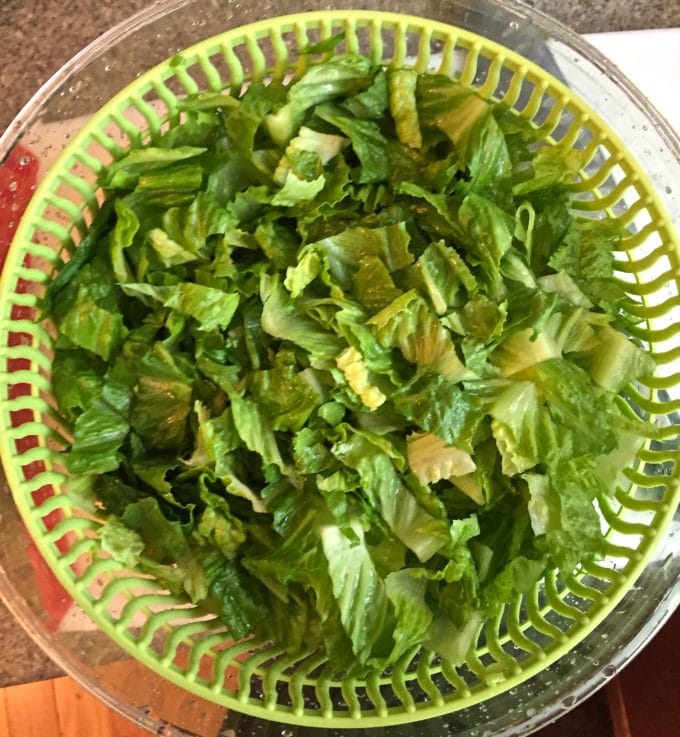 Romaine lettuce in a salad spinner after washing.