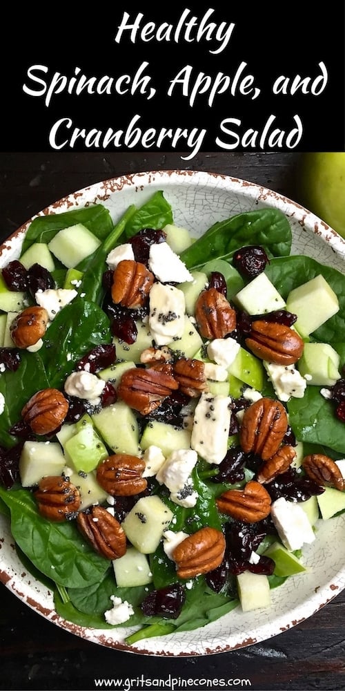 Whether you serve Spinach, Apple, and Cranberry Salad as an entree or a side dish, it’s low in calories, packed with vitamins, healthy, and easy to prepare!