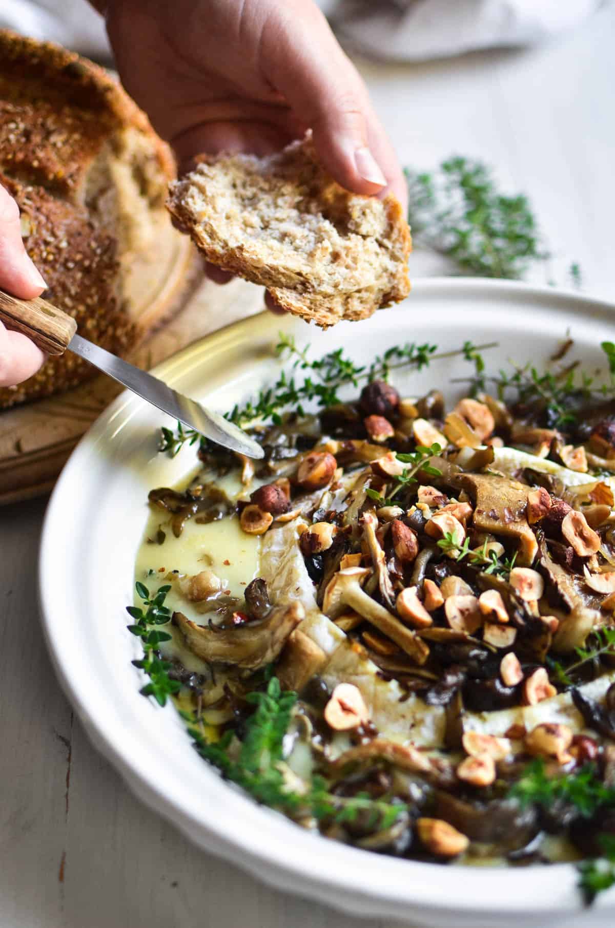 Wild mushroom and baked melted brie in a bowl.