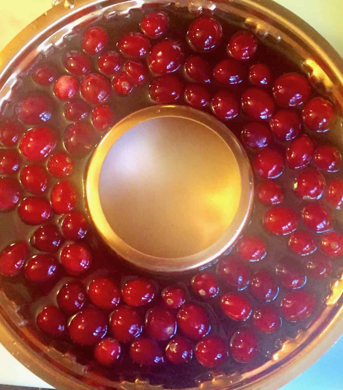 An ice ring with cranberries and cranberry juice. 