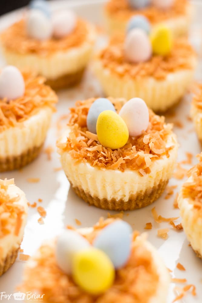 Mini cheesecakes topped with toasted coconut and candy. 