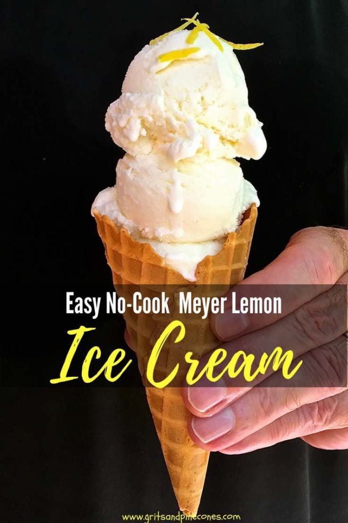 Looking for something to beat the summer heat? How about my Easy No-Cook Meyer Lemon Ice Cream recipe! This homemade silky smooth and lemony ice cream is just the thing to help you cool off on a hot summer day! #easyrecipe, #dessert, #dessertrecipe, #icecream