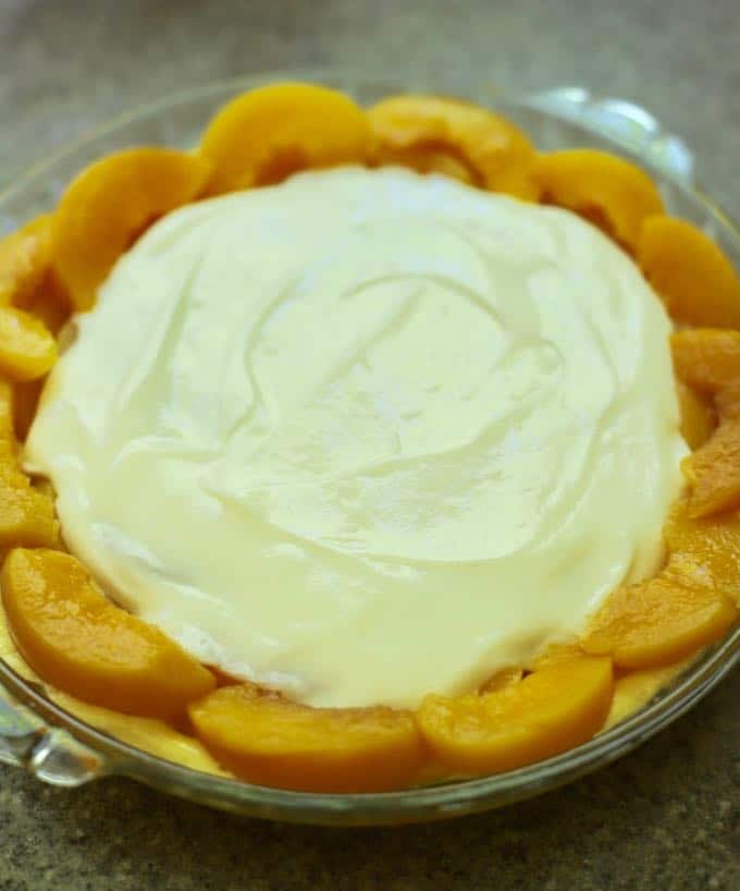 Peach slices surround a layer of cheesecake batter in a pie dish.