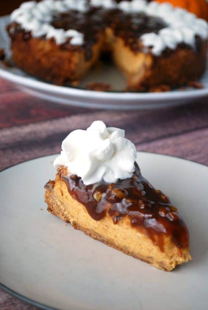 Pumpkin Cheesecake with Praline Sauce