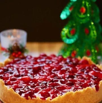 cropped-easy-no-bake-cranberry-cheesecake-5.jpg