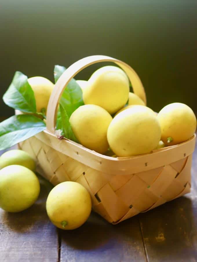 A basket of Meyer lemons just harvested for Luscious Southern Meyer Lemon Bars