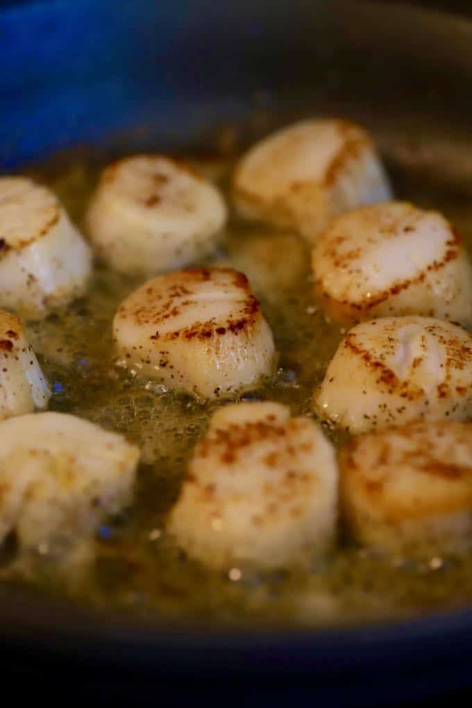 Pan Searing Scallops for Pan Seared Sea Scallops with Salsa Verde