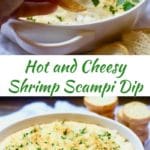 Hot and Cheesy Baked Shrimp Scampi Dip Pinterest Pin