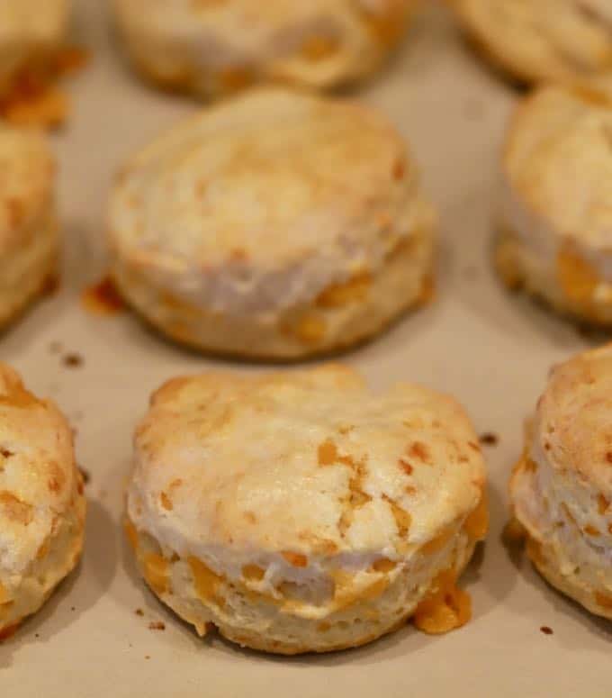 Golden brown biscuits hot out of the oven on a baking sheet.