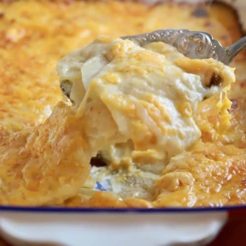 A spoonful of cheesy scalloped potatoes.