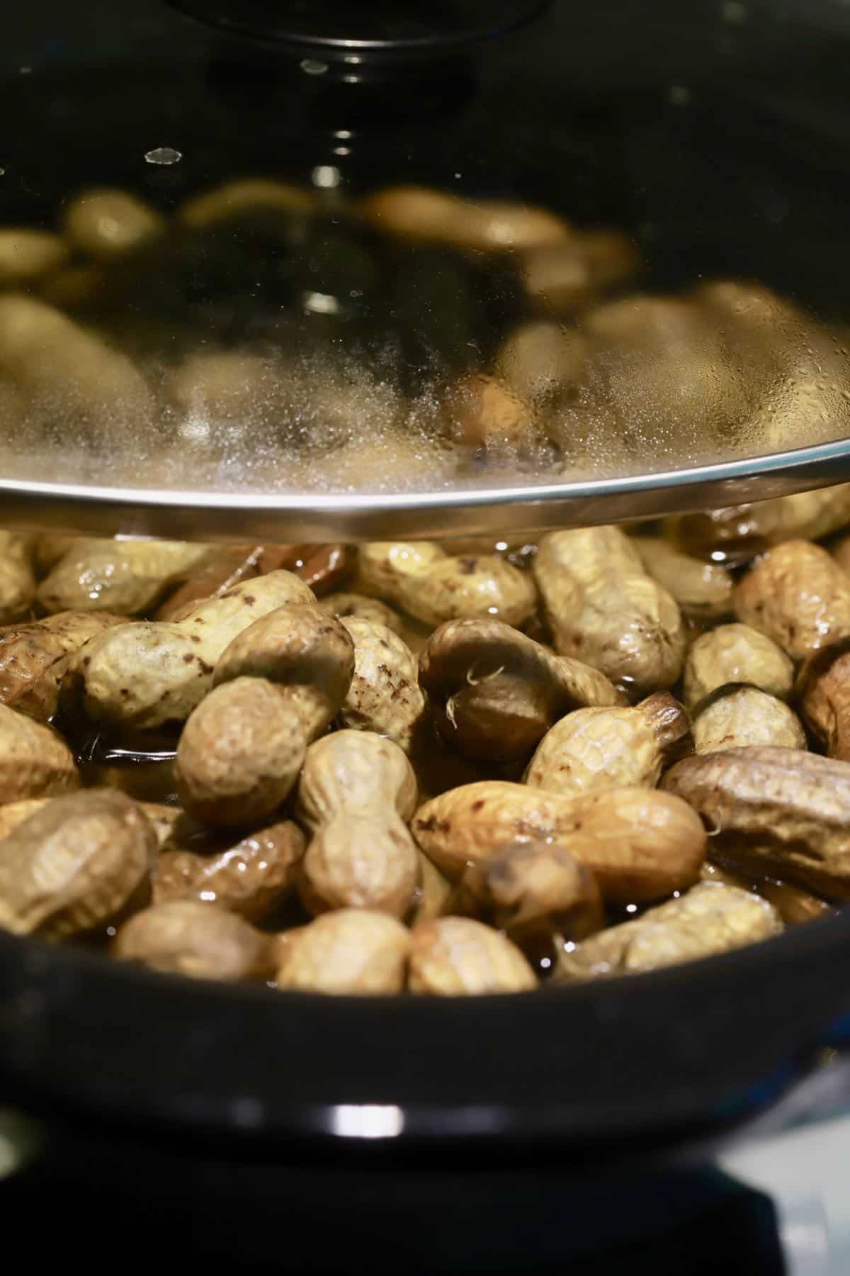 Green peanuts cooking in a crockpot.