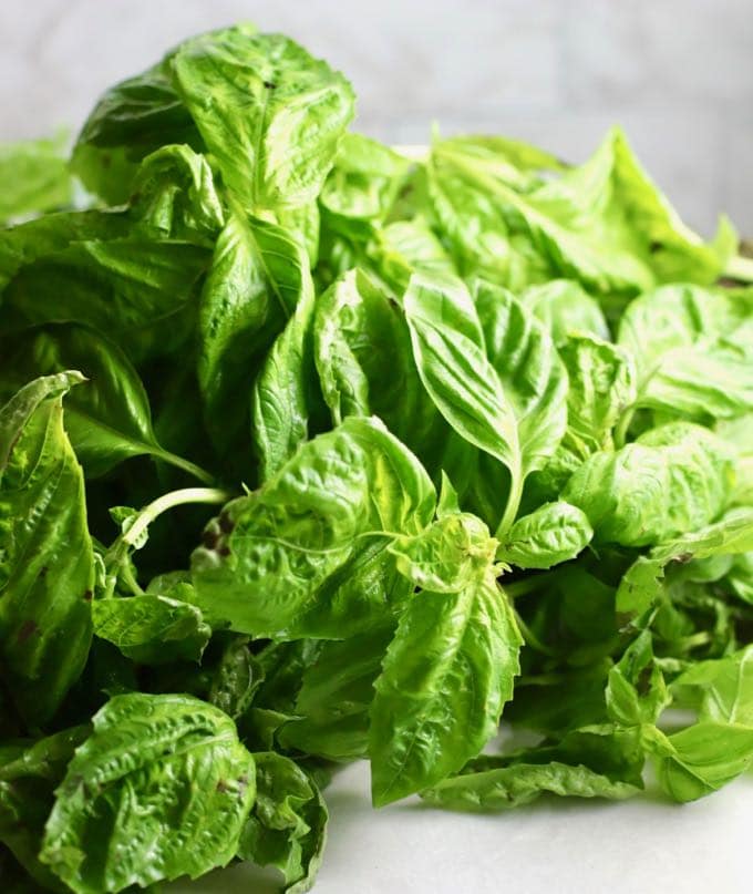 A large bunch of basil for Easy Homemade Southern Basil Pesto