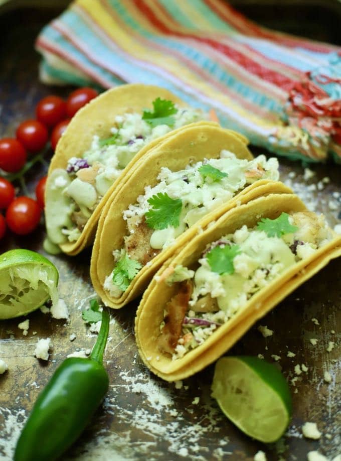 Three grilled fish tacos garnished with cilantro and topped with cheese. .