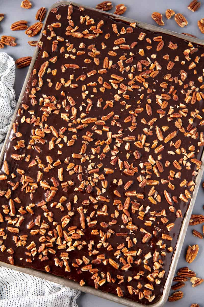 A Texas Chocolate Sheet Cake in a baking pan topped with nuts.