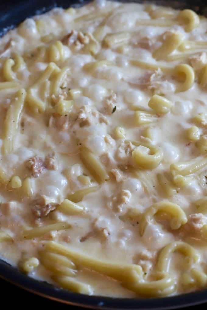 Chicken and pasta cooking in heavy cream and parmesan cheese in a skillet. 