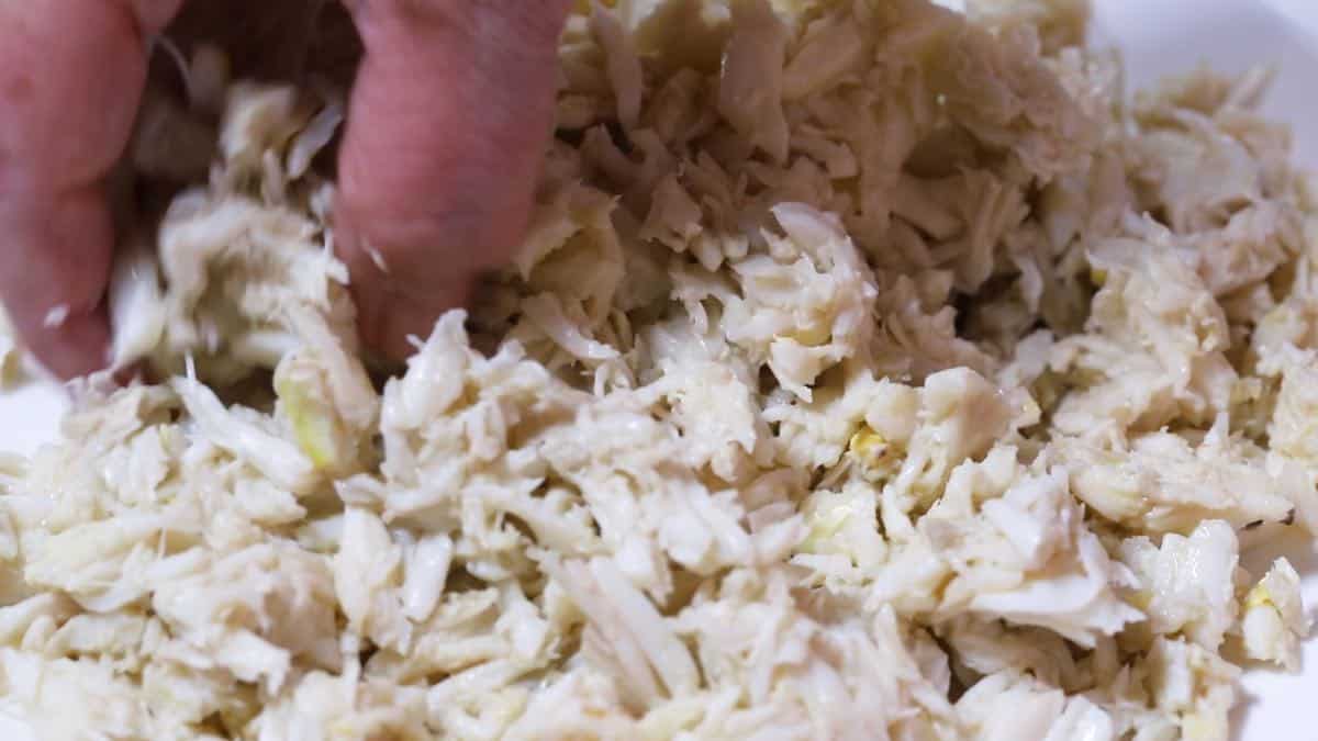 Picking through crab meat to remove any shells.