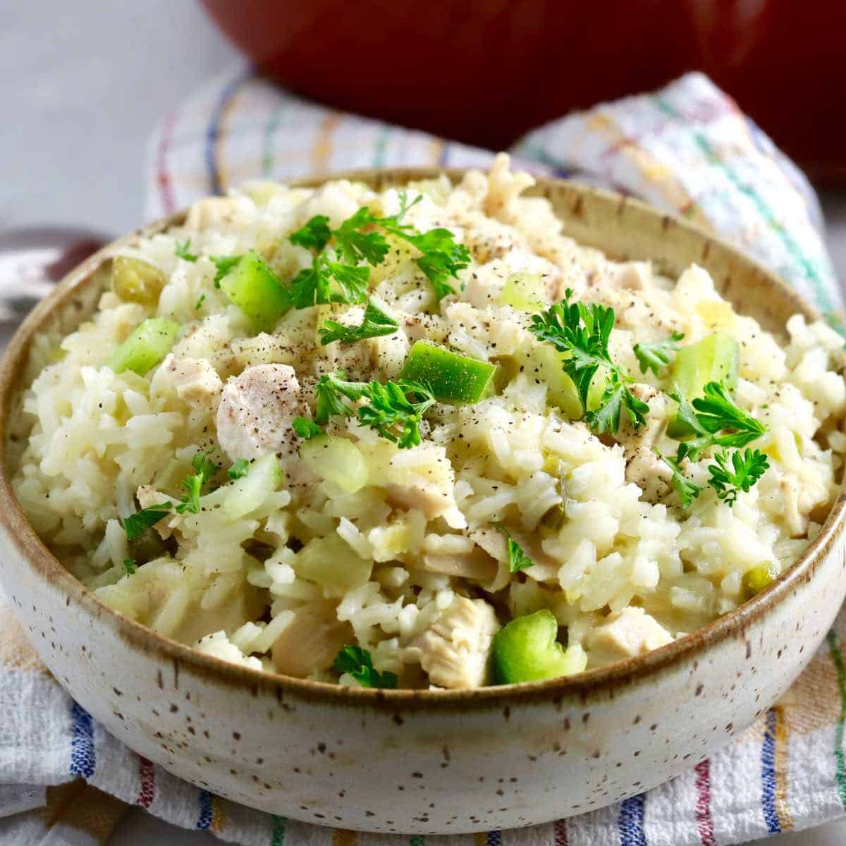 A large bowl full of chicken and rice. 