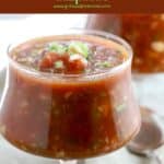 Pinterest pin for Cold Spanish Soup.