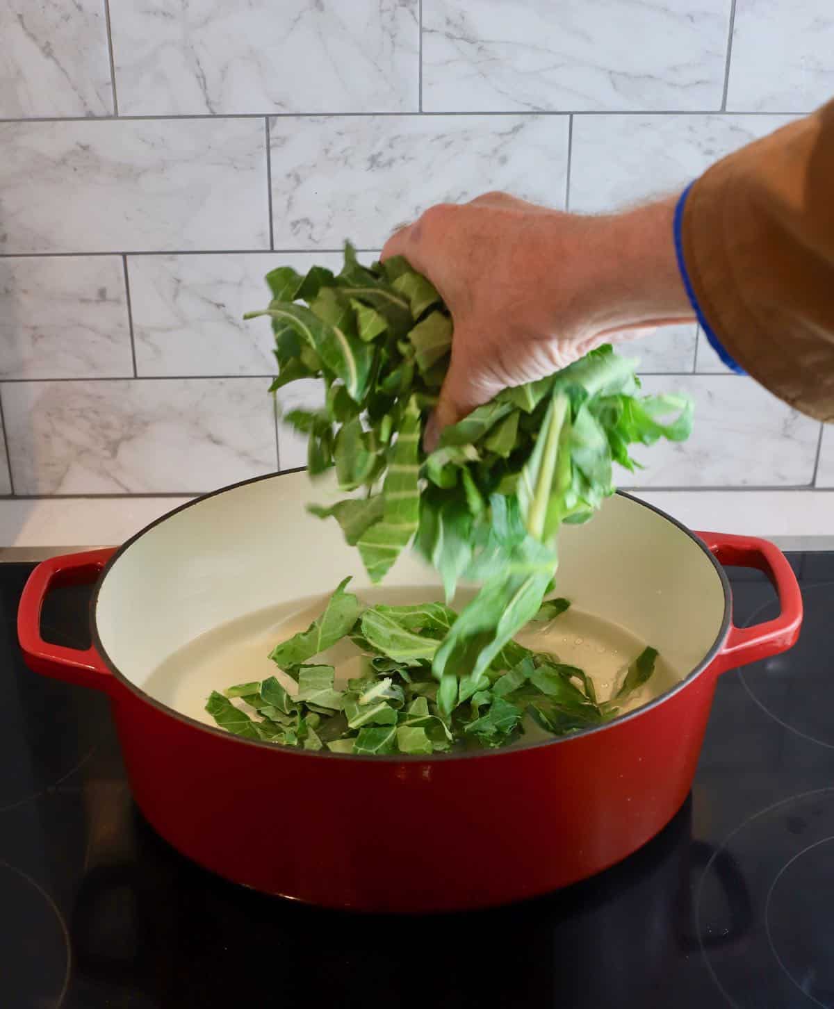 Adding cut up collard greens to a pan of boiling water. 