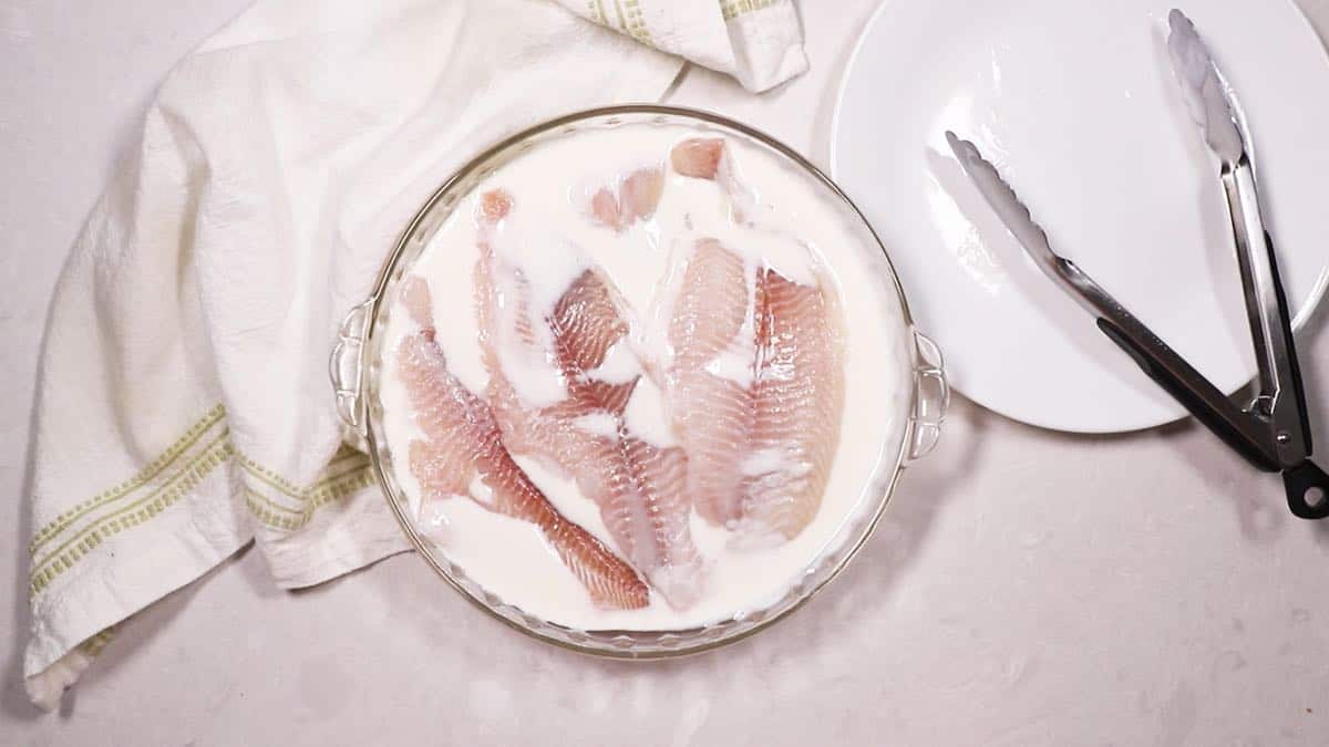 Catfish fillets soaking in buttermilk. 