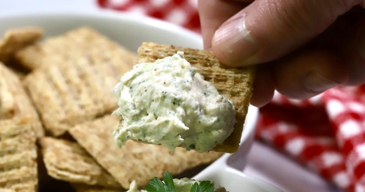 Ranch Cream Cheese Chicken Dip | Grits and Pinecones