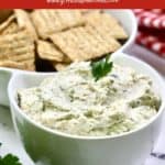 Pinterest pin showing a bowl of chicken ranch dip and crackers.
