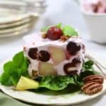 A square of frozen fruit salad on a plate.