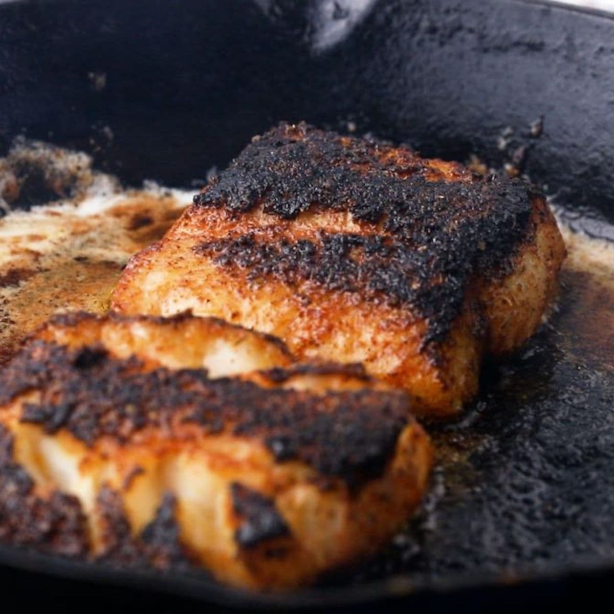 Two blackened cod fillets cooked in a cast-iron skillet. 