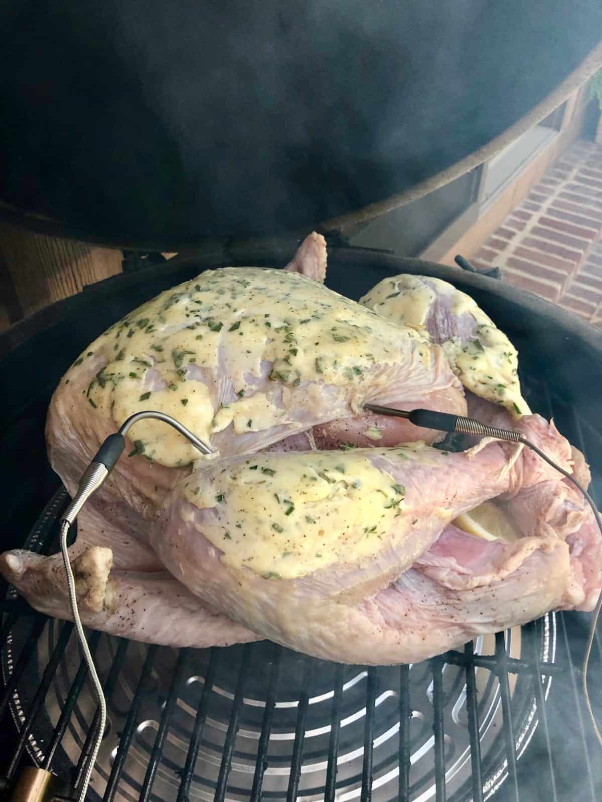 A turkey on a BGE with temperature probes. 