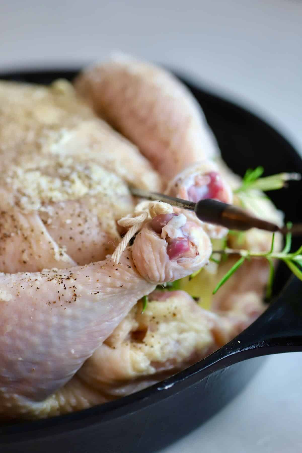 A whole chicken in a cast iron skillet with the legs trussed and a temperature probe inserted in the breast. 