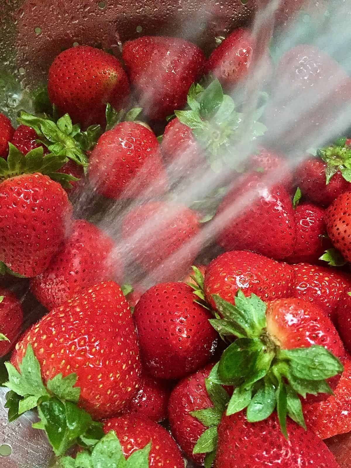 Water spraying whole fresh strawberries in a colander. 