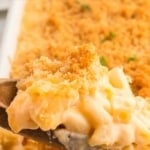 Pinterest pin showing a baking dish full of mac and cheese and a spoonful above it.