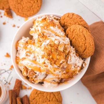 A bowl full of gingerbread ice cream garnished with cookie crumbs and gingersnap cookies.
