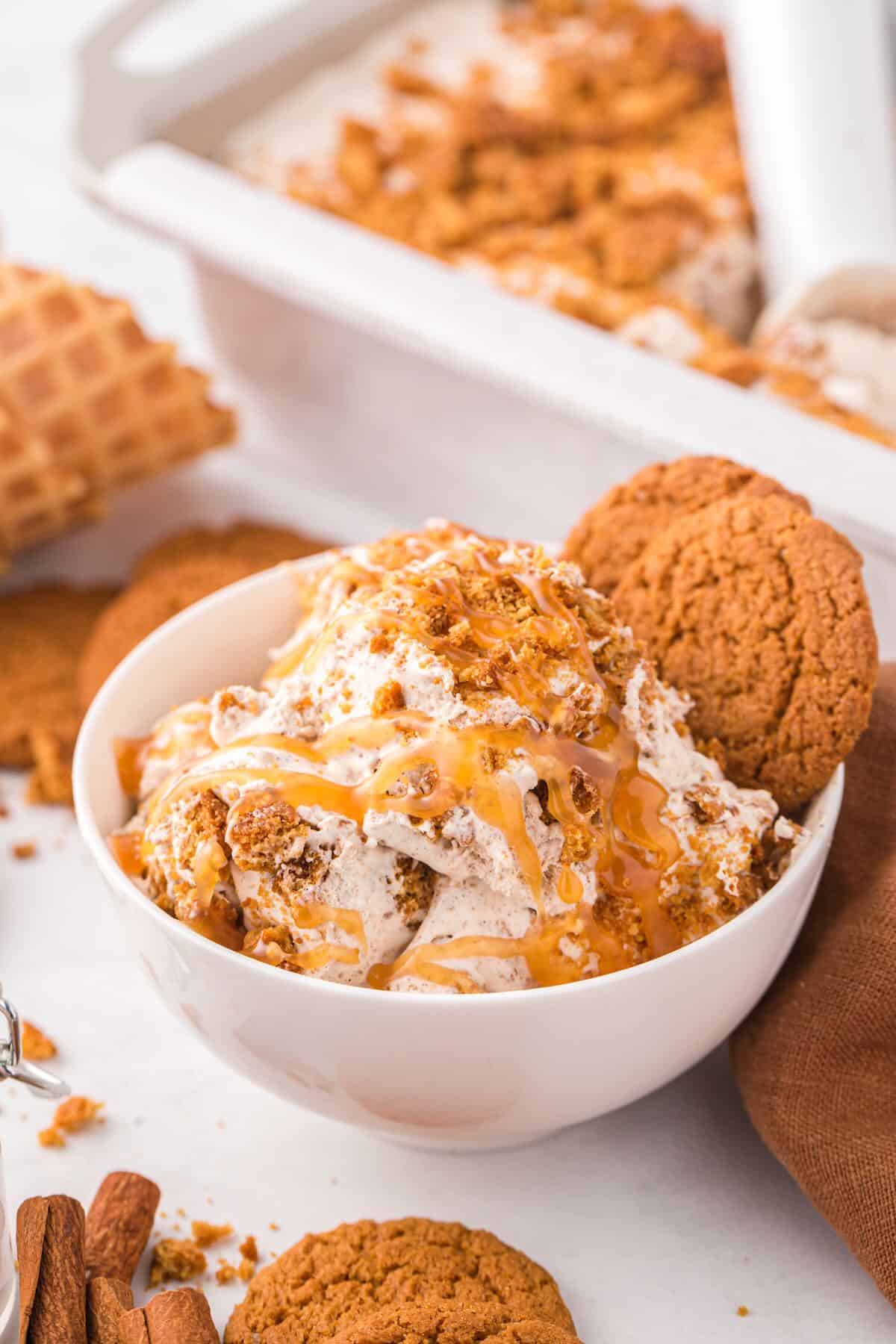 A bowl of gingerbread ice cream topped with cookie crumbs and caramel sauce.