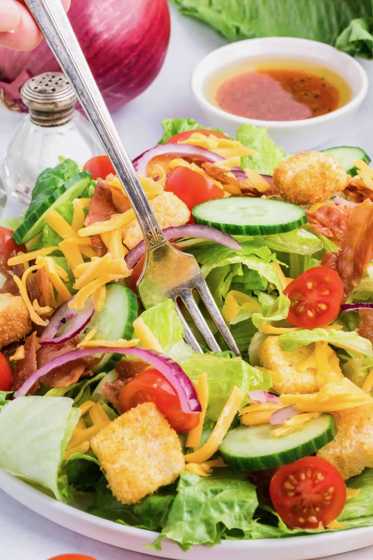 A forkful of house salad with lettuce, tomatoes, and cucumber on a white plate.