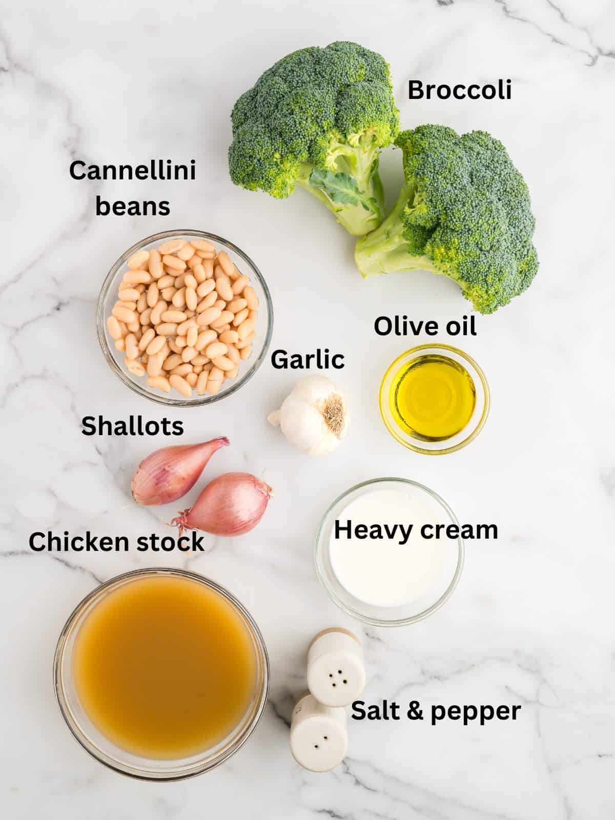 Ingredients for white bean soup include broccoli, white beans, and chicken stock. 