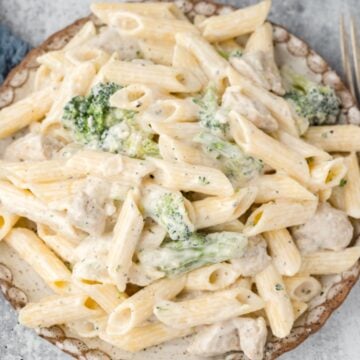 A plate full of Chicken and Broccoli Pasta covered in a creamy sauce.