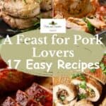 Pinterest pin showcasing four pork recipes including baked and grilled pork.