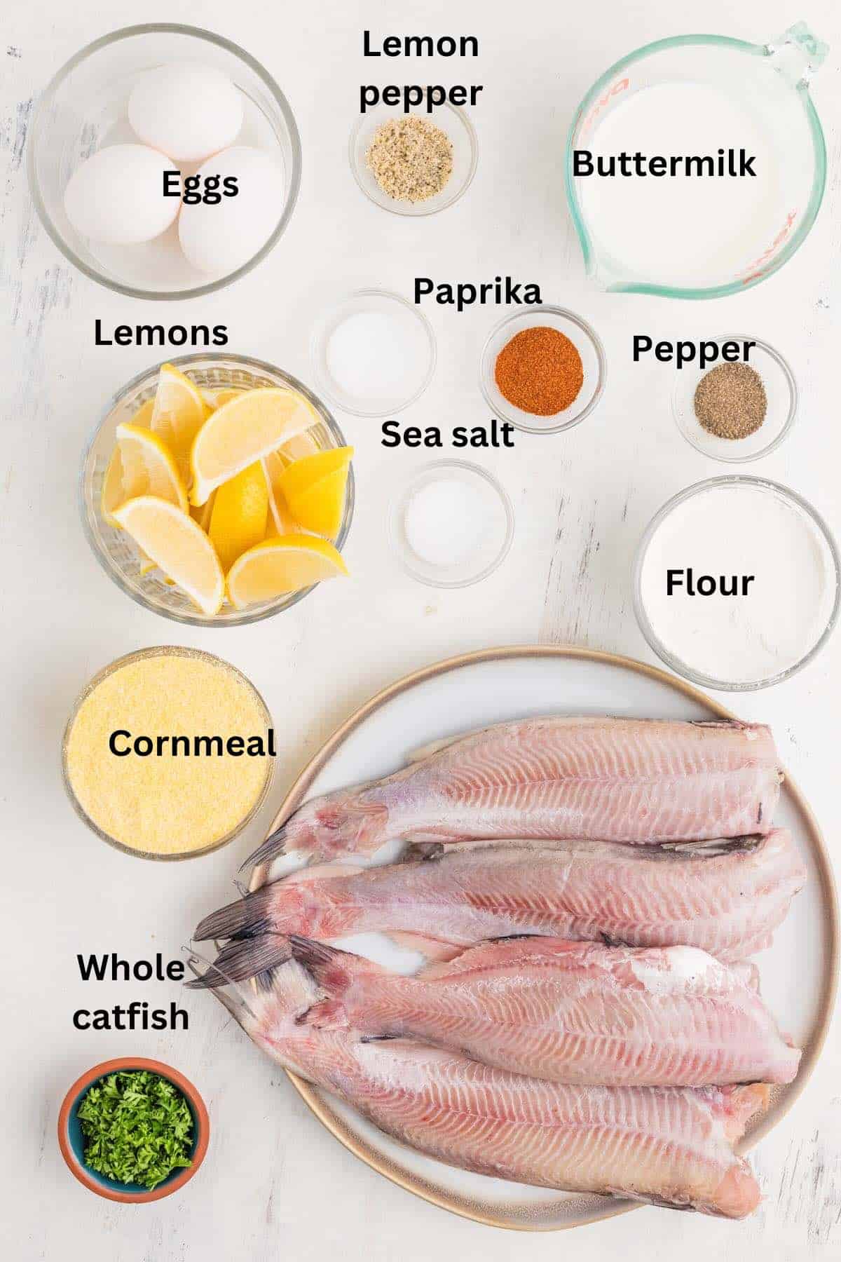 Ingredients to fry whole catfish including cornmeal, flour, eggs, buttermilk and seasonings. 