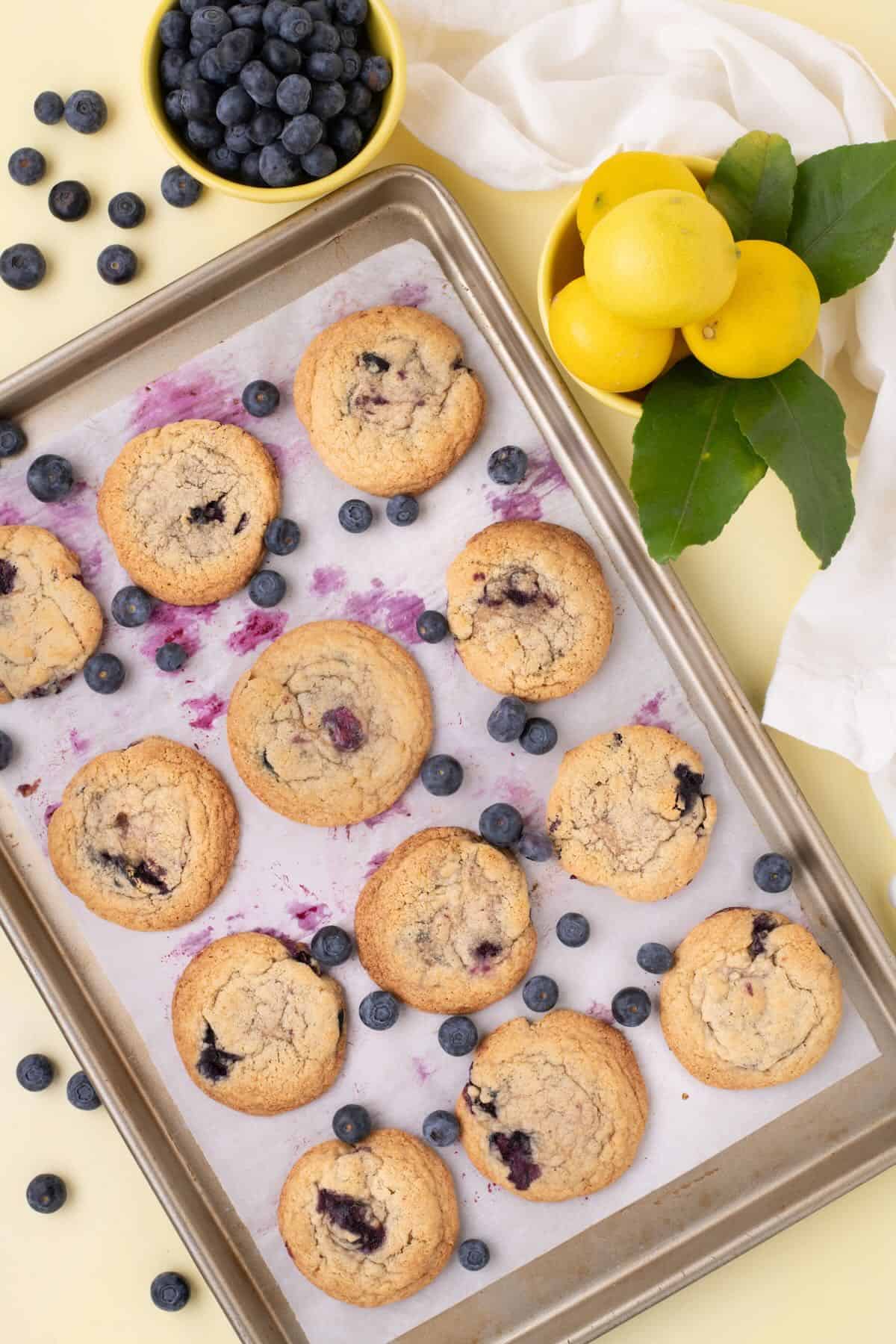 A baking sheet full of baked lemon blueberry cookies.